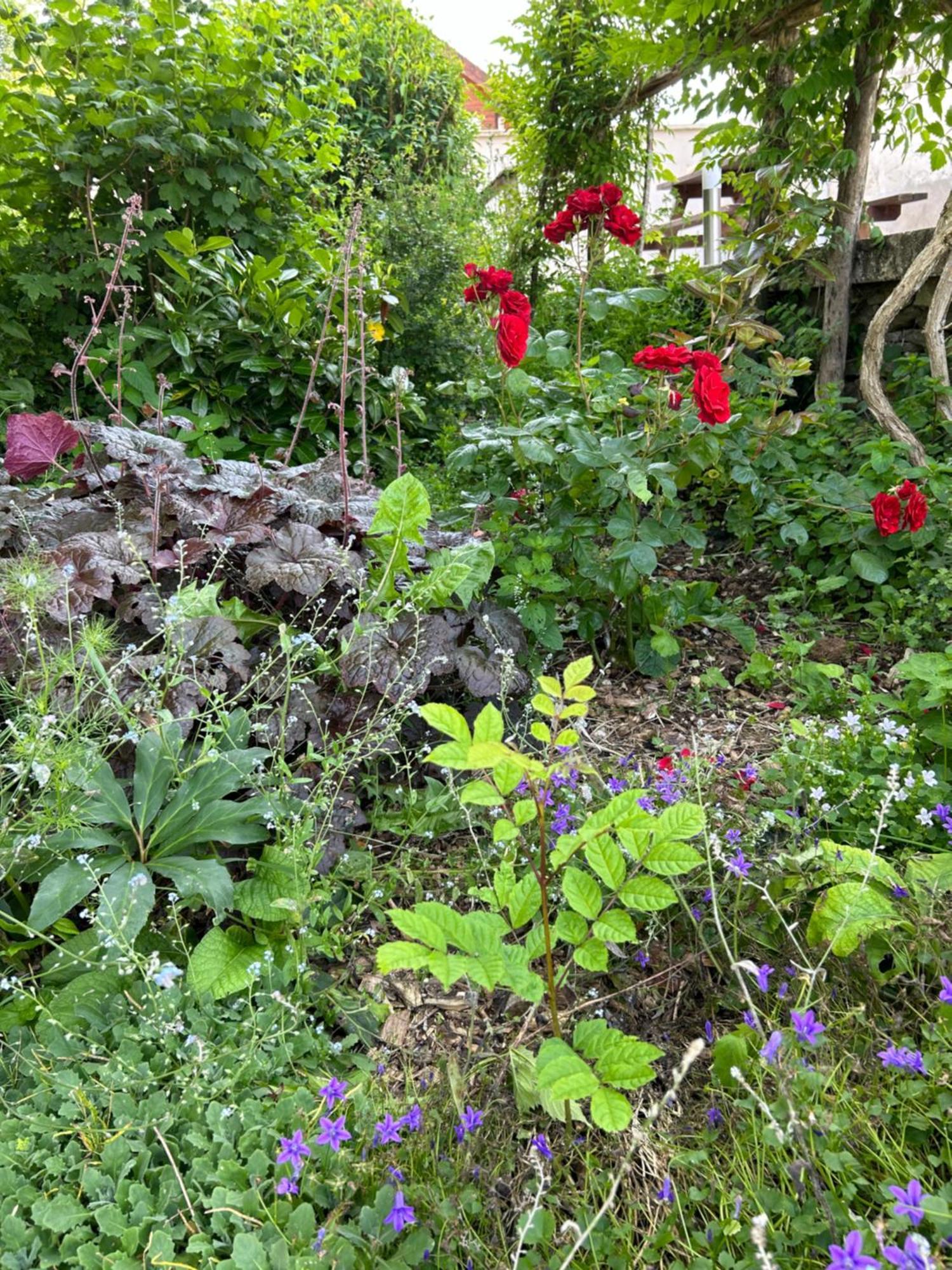 Pivoine Chambre D Hotes Fralignes 外观 照片